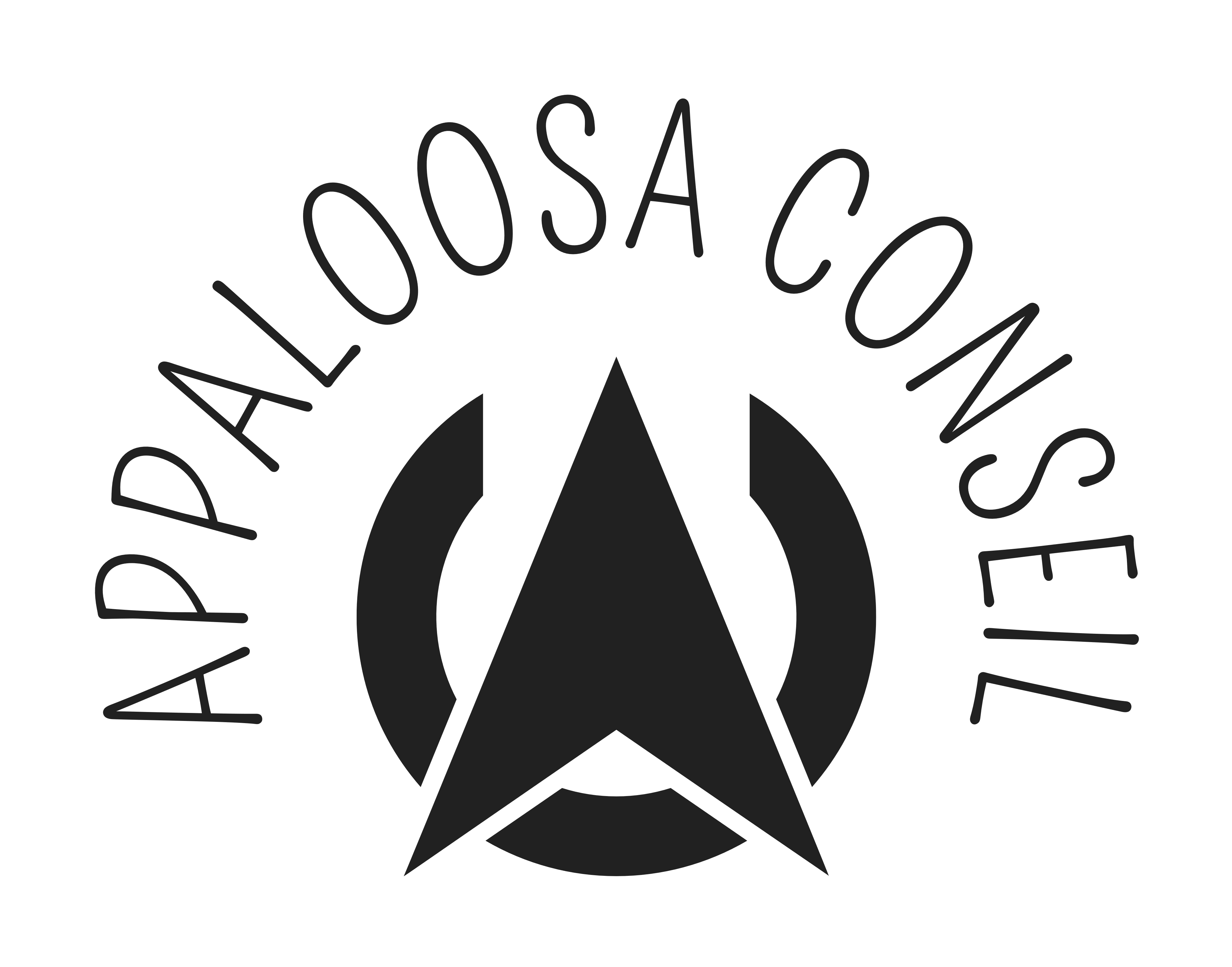 Appaloosa Conseil
